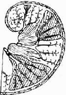 ��ƶѪ�Թ���