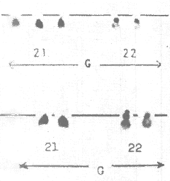 ����������������ͱȽ�