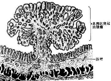 ����Ϣ��״��<a href=