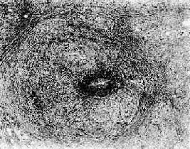 ��ϸ���Զ�����