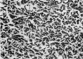 ����δ�ֻ�<a href=