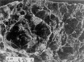 �����Ҷ�����Է�����