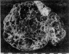 ����Եط��Լ�״���ס����������棩