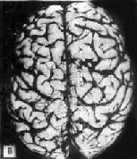 ������<a href=